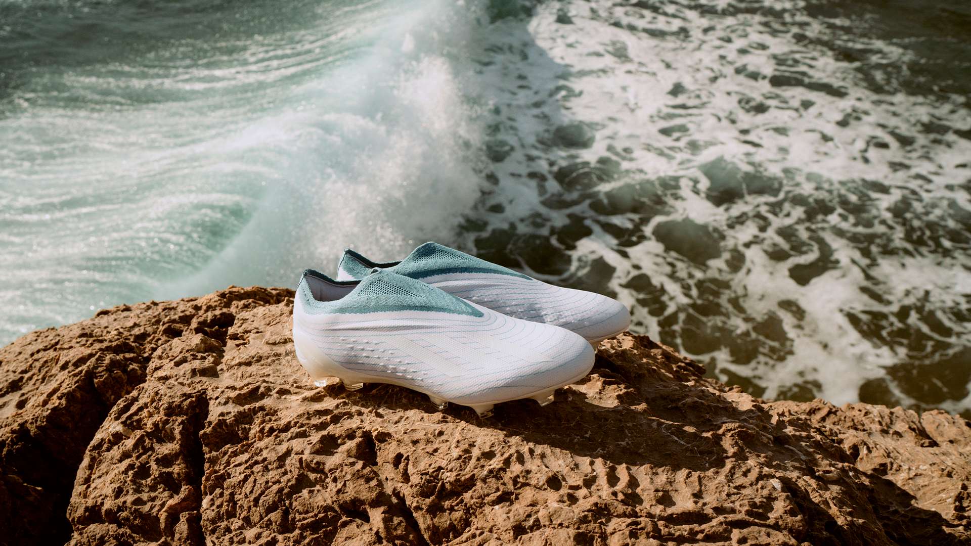 的競爭力 的競爭力