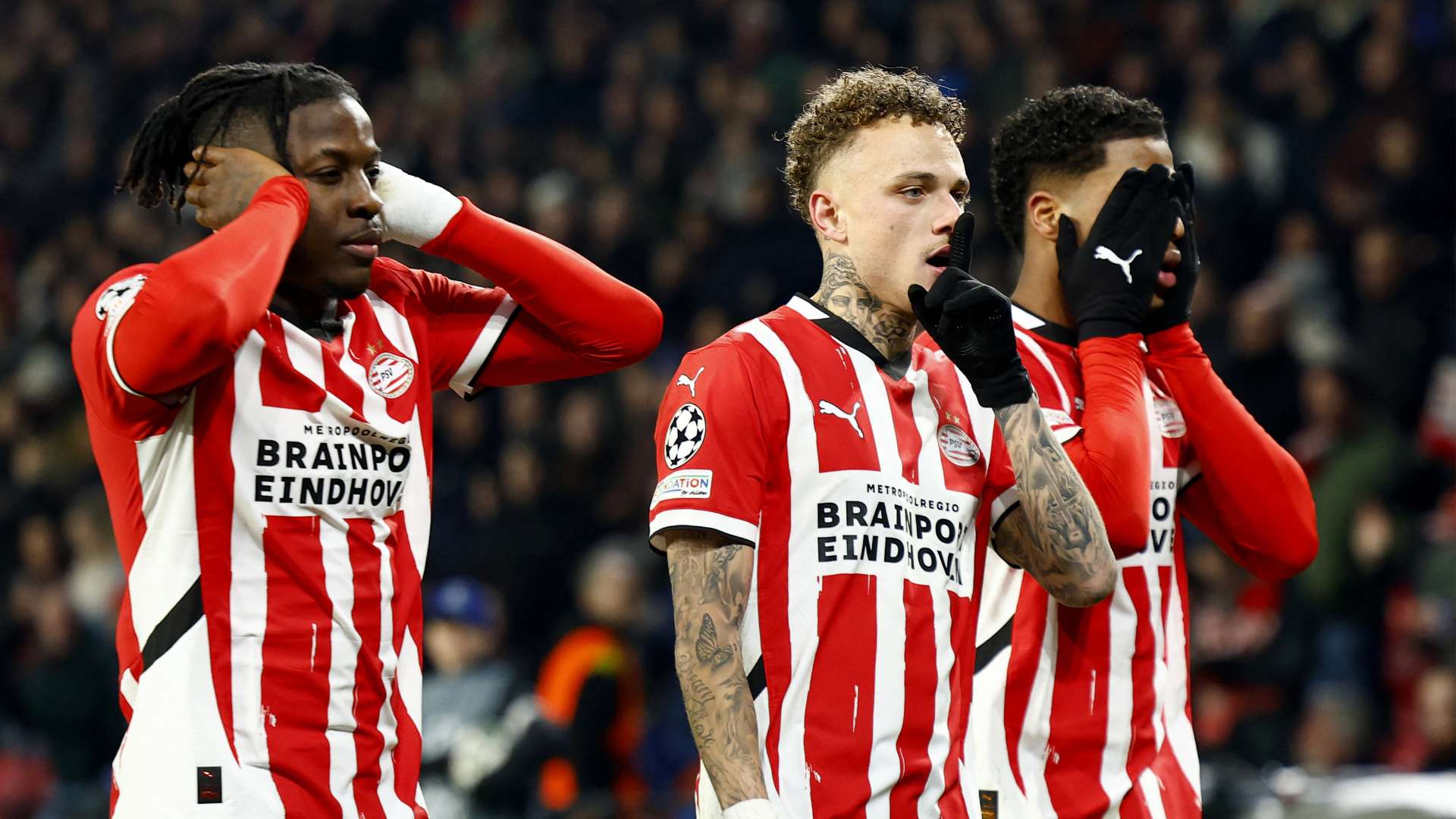 亲曾效力于 亲曾效力于