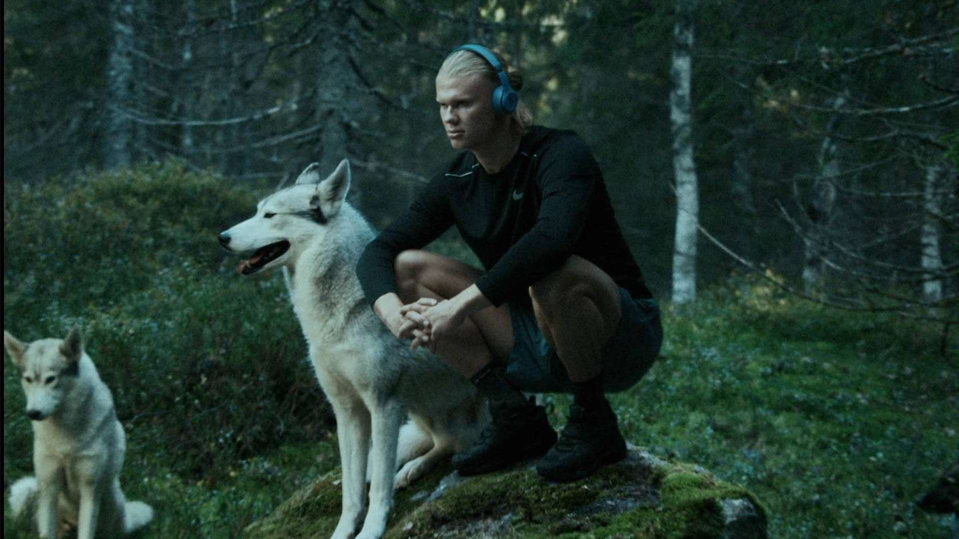 灵活的战术 灵活的战术